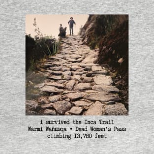 i survived the Inca Trail to Machu Picchu T-Shirt